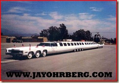 _wsb_502x349_100 foot limo to post