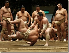combat-de-sumo-a-tokyo_diaporama