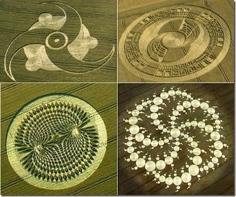 Contoh-motif-gambar-crop-circle