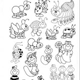 24 animals.jpg