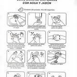 porcina1.jpg