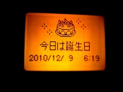 IMG_20101209224808.jpg