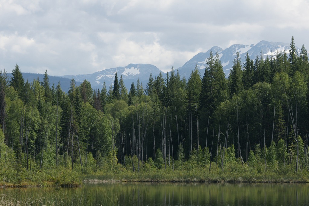 [23_04_GreenMountainTrail (4)[8].jpg]