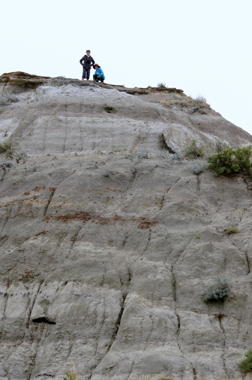 [29_03_DinosaurPark (4)[3].jpg]