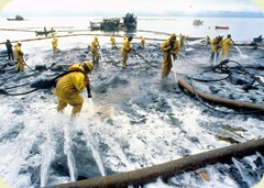 oil_spill11162