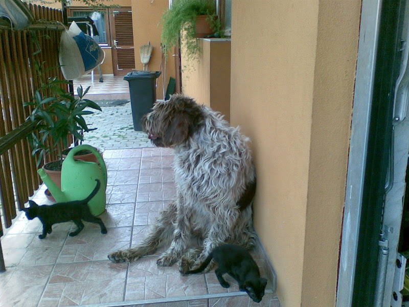 20090709291.jpg