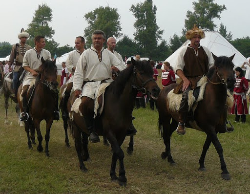 P1060727.JPG