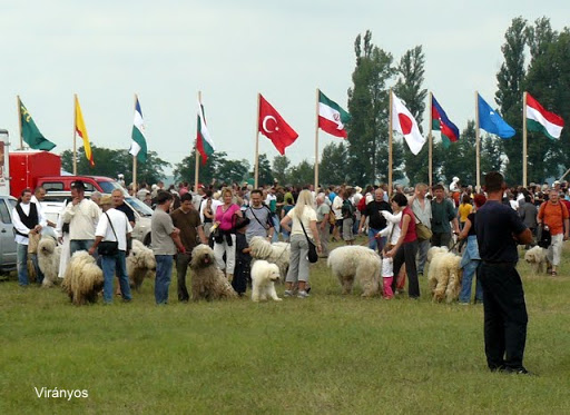 P1060841.JPG