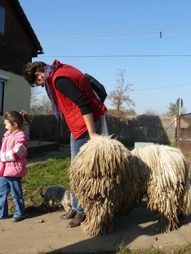 kulcsi%20komisz%20%C3%A9s%20lovagl%C3%A1s%20007.jpg