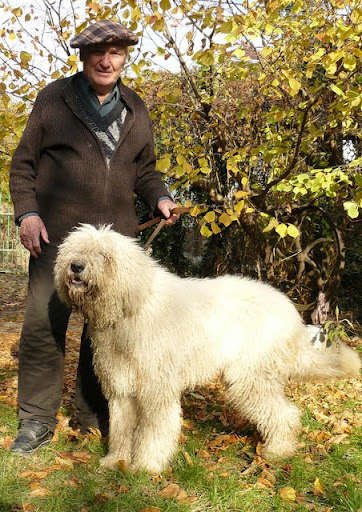 kulcsi%20komisz%20%C3%A9s%20lovagl%C3%A1s%20105.jpg