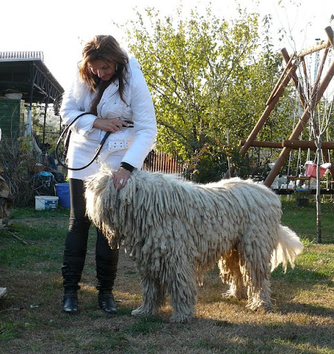 kulcsi%20komisz%20%C3%A9s%20lovagl%C3%A1s%20098.jpg