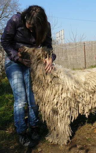 kulcsi%20komisz%20%C3%A9s%20lovagl%C3%A1s%20043.jpg