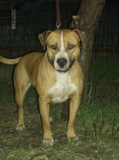 Molly%20006.jpg