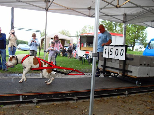 SDC10197.JPG