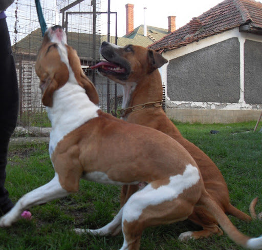 K%C3%A9p%20081.jpg