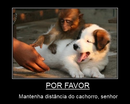 porfavor.jpg