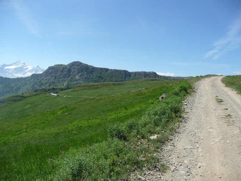 P1020009.JPG