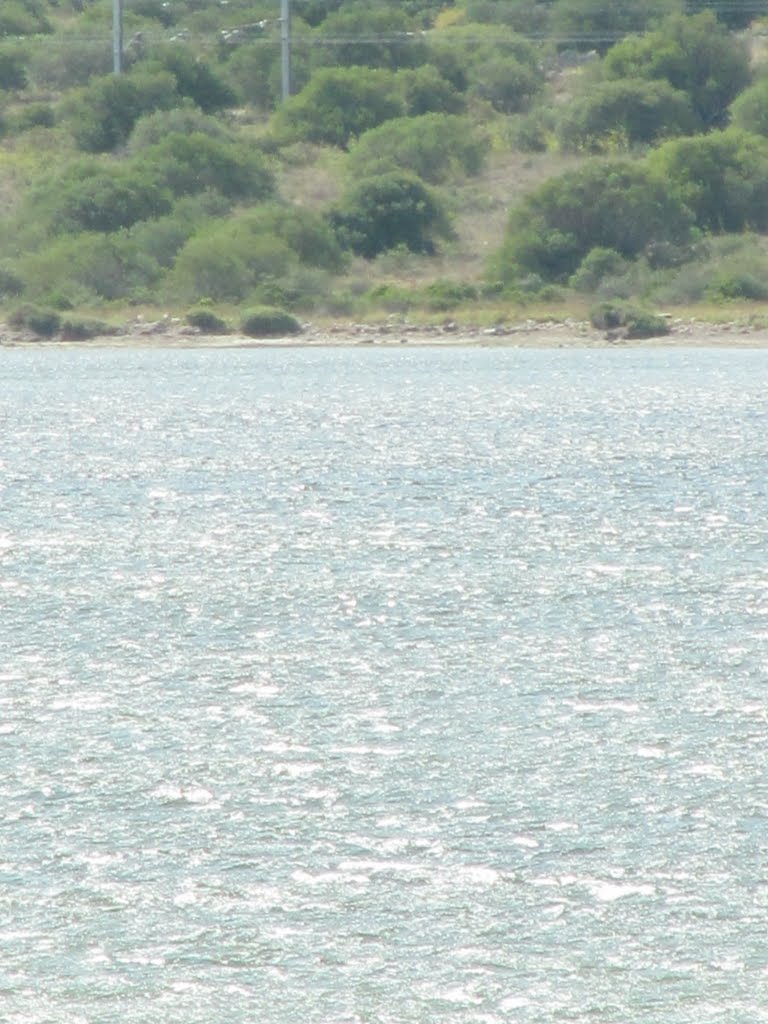 septembre 2010 050.jpg