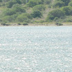 septembre 2010 050.jpg