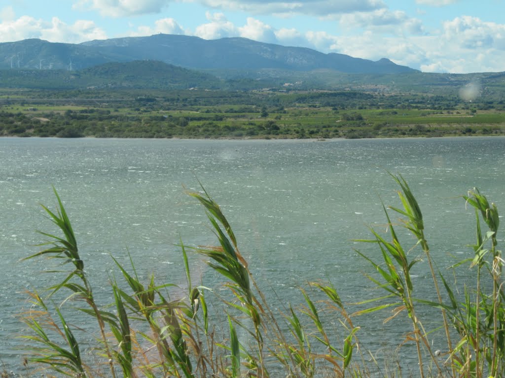 septembre 2010 051.jpg