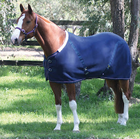 Zilco Defender Super fleece Warmer Rug