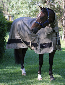 Zilco Super Snug Winter Rug