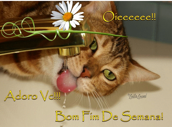 gato8.gif
