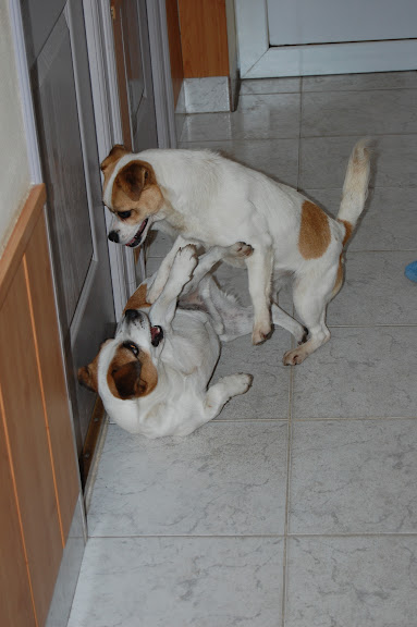 DSC_0560.JPG