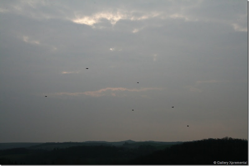 20090405_Vue-Matin_103