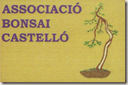 asociacio bonsai castelló180x119