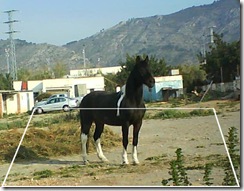 imagen3 imagen3