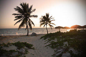 Tropical Beach Tropical Beach at sunset