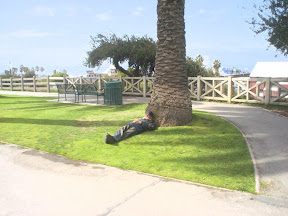 Homeless Homeless