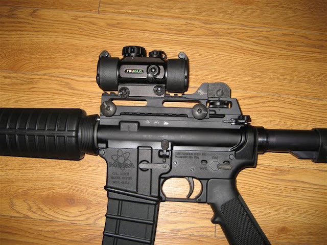 What kind of riser and BUIS do I need to make this red dot work ...