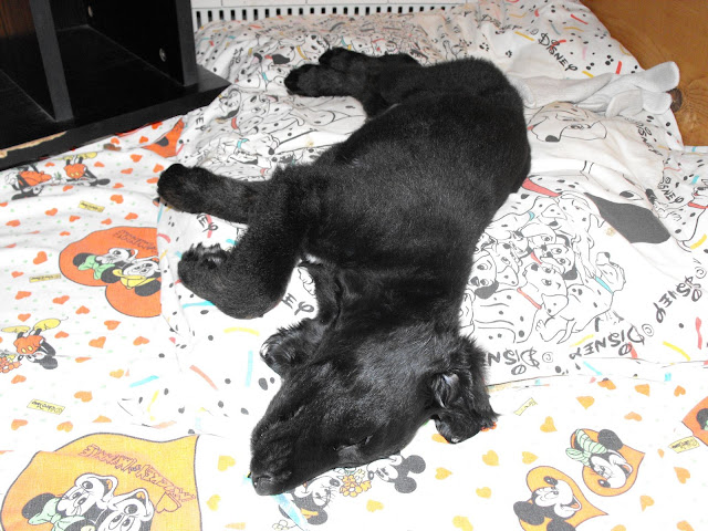 2010_04100068.JPG