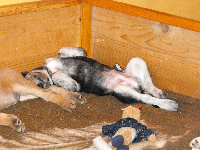 2010_04100055.JPG