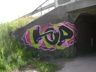 2010_hop_DSC03410
