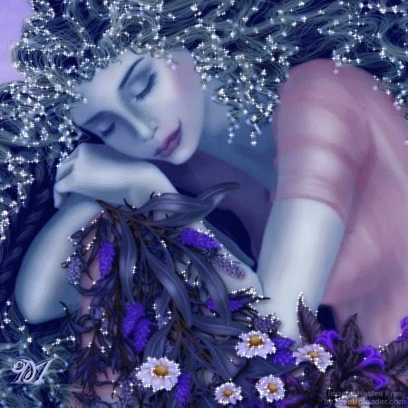 lilas.png
