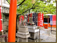 DSCF7574 DSCF7574