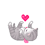 DSL_minii5.png