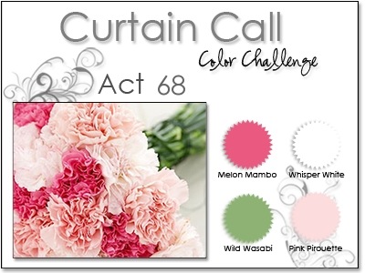 [curtain call 68 carnations at evetagious.blogspot[3].jpg]