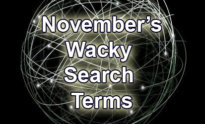 [november's wacky search terms[9].jpg]