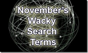 november's wacky search terms