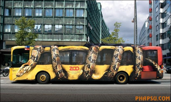 funny-bus-images02.jpg