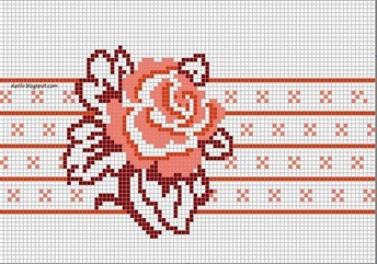 rosa rosa