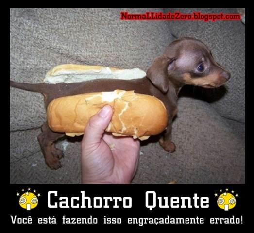 [Cachorro Quente[4].jpg]