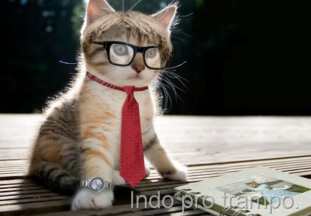 [intellectualcat-[10].jpg]
