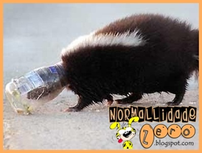 Animal-Get-Amazingly-Stuck-12