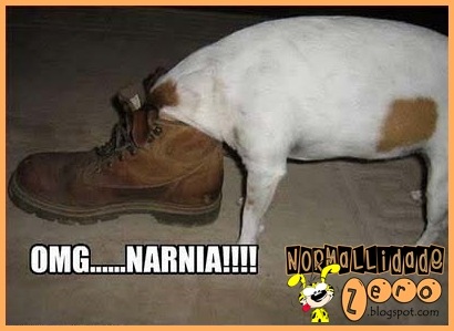 [Animal-Get-Amazingly-Stuck-15[1].jpg]
