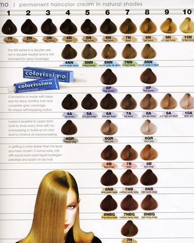 Goldwell Mousse Colour Chart
